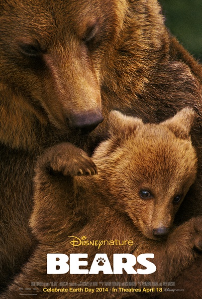 熊国际/阿拉斯加的棕熊高清迅雷下载[2014纪录片]