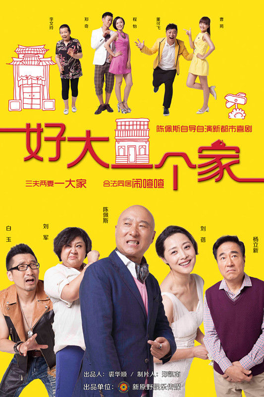 好大一个家全集迅雷下载[2015电视剧]