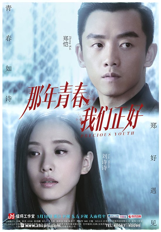 那年芳华我们正好全集迅雷下载[2016电视剧]